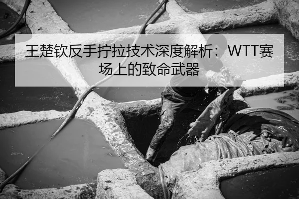 王楚钦反手拧拉技术深度解析：WTT赛场上的致命武器