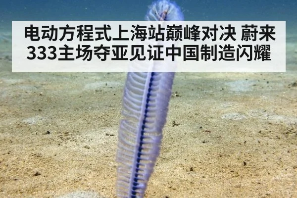 电动方程式上海站巅峰对决 蔚来333主场夺亚见证中国制造闪耀